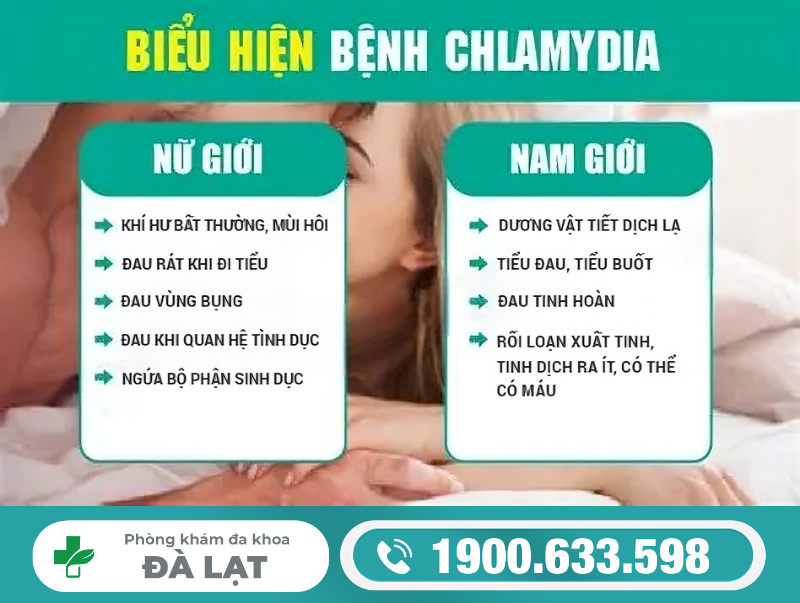 Hình ảnh minh họa